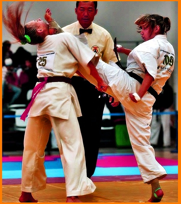ap chagi ap chagui front kick front snap kick taekwondo