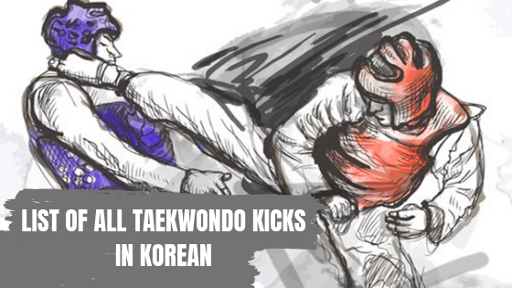 lis of taekwondo kicks in korea
