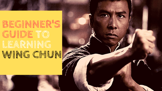 Beginner's guide to learning Wing Chun