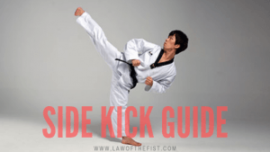 side kick guide
