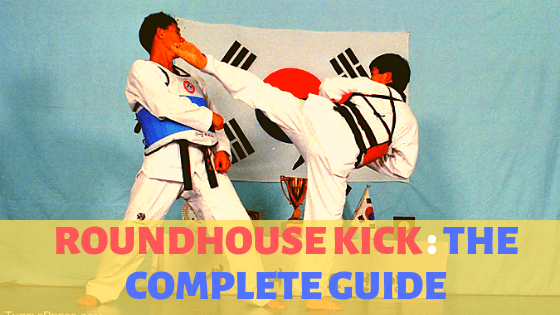 Your All-Inclusive Guide to The Roundhouse Kick