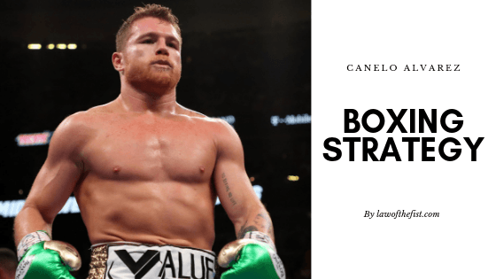 9 Canelo Alvarez Boxing Strategies You Should Learn From