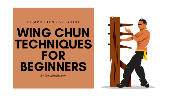 Wing Chun Techniques for Beginners