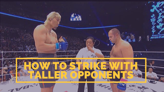 how to fight taller opponent