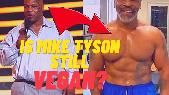Is Mike Tyson Not Vegan Anymore?
