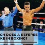 HOW MUCH DOES A REFEREE MAKE IN BOXING