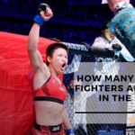 How Many Chinese Fighters Are There In The UFC?