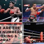 What Are The Punch Numbers In Boxing & MMA?