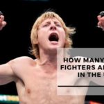 How Many British Fighters Are There In The UFC?