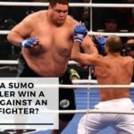 Can a Sumo Wrestler Win A Fight Against An MMA Fighter
