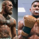 Boxing Vs. MMA Which Sport Is Stricter On Steroids And PEDs?