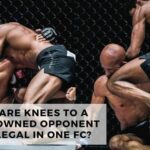 Are Knees to A Downed Opponent Legal In ONE FC